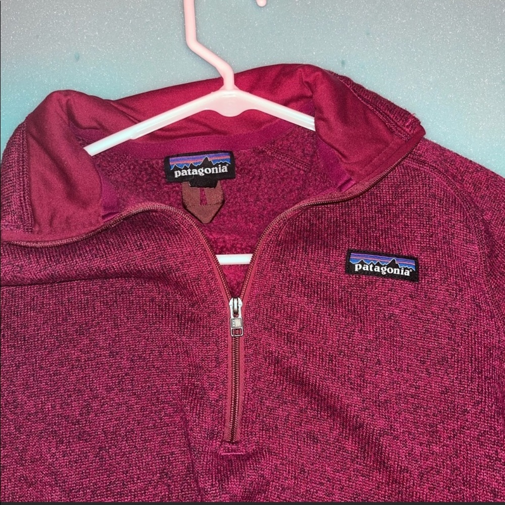 Pink Patagonia better sweater